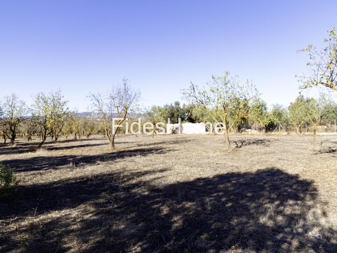 Irrigatieperceel in Nigüelas .en Nigüelas