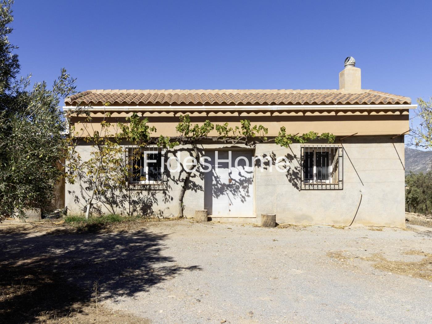 Magnificent olive farm in Nigüelas with a cortijo in Nigüelas
