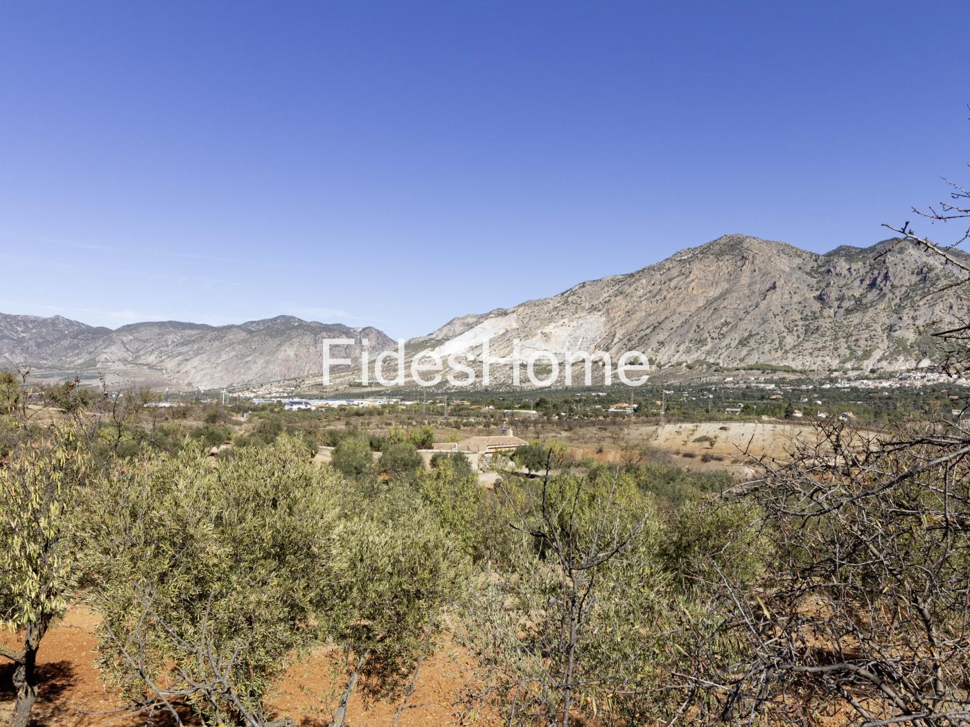 Magnificent olive farm in Nigüelas with a cortijo in Nigüelas