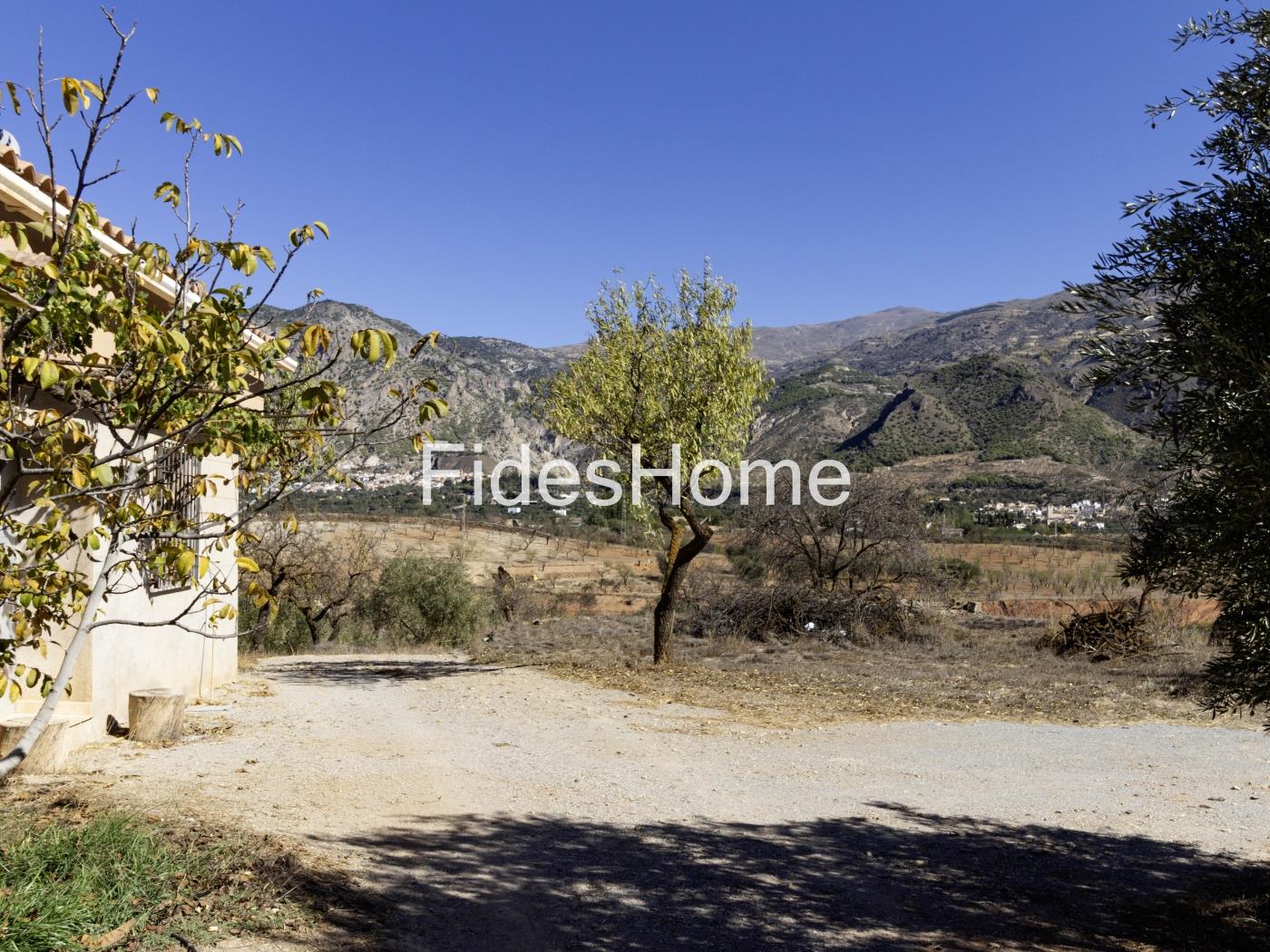 Magnificent olive farm in Nigüelas with a cortijo in Nigüelas