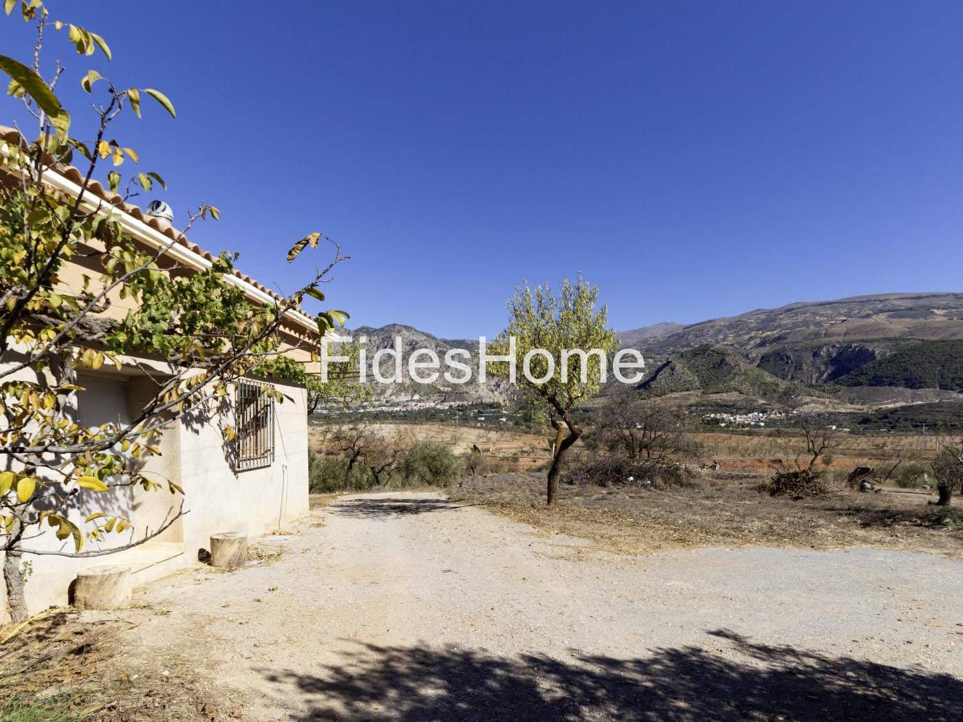 Magnificent olive farm in Nigüelas with a cortijo in Nigüelas