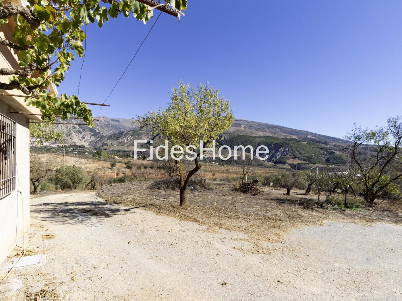 Magnificent olive farm in Nigüelas with a cortijo in Nigüelas