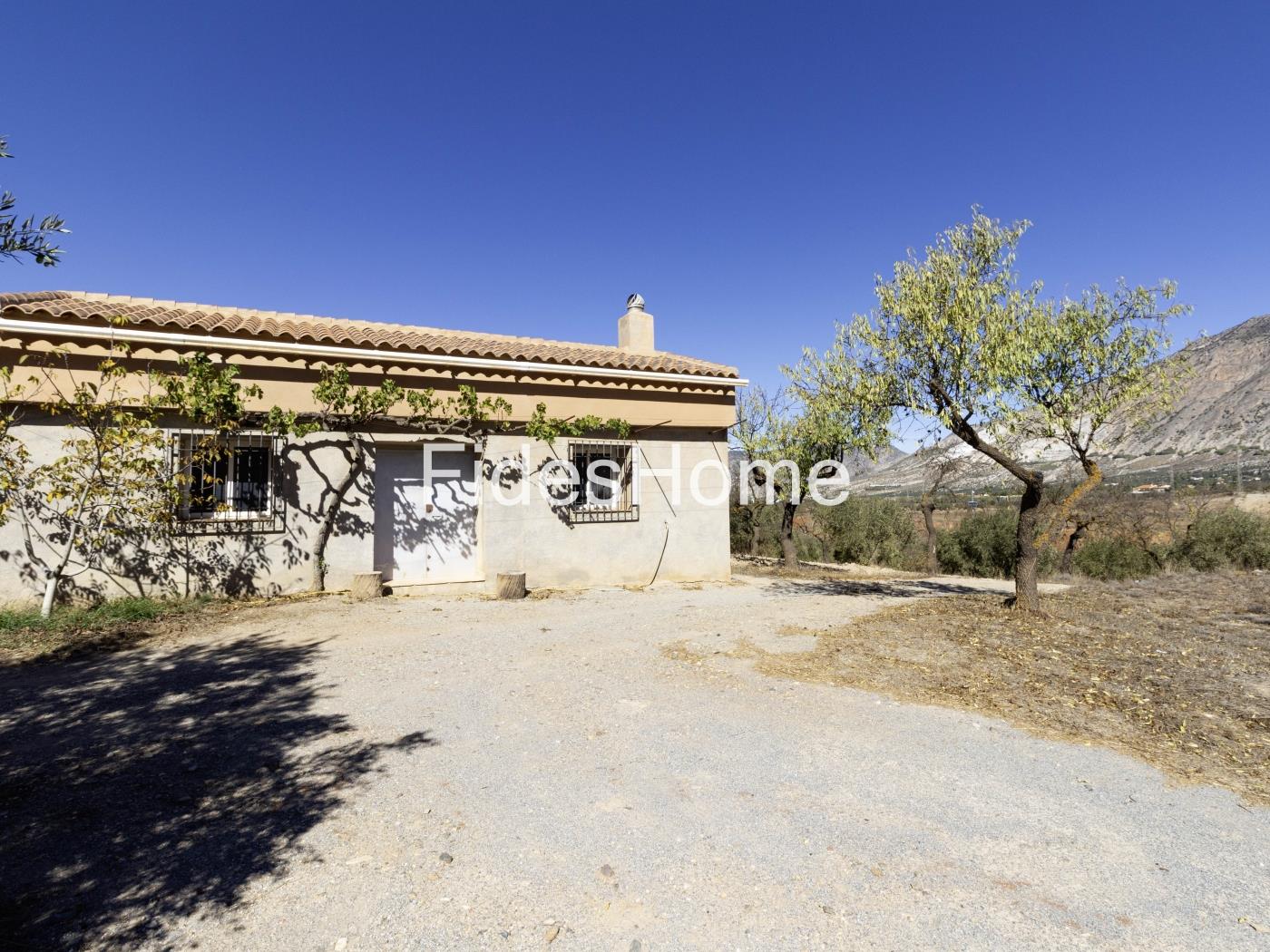 Magnificent olive farm in Nigüelas with a cortijo in Nigüelas