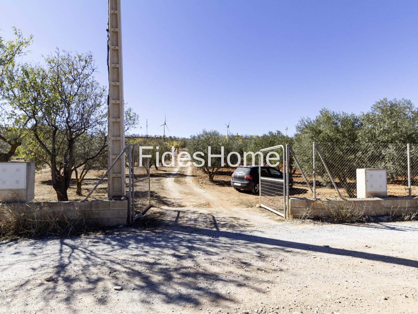 Magnificent olive farm in Nigüelas with a cortijo in Nigüelas