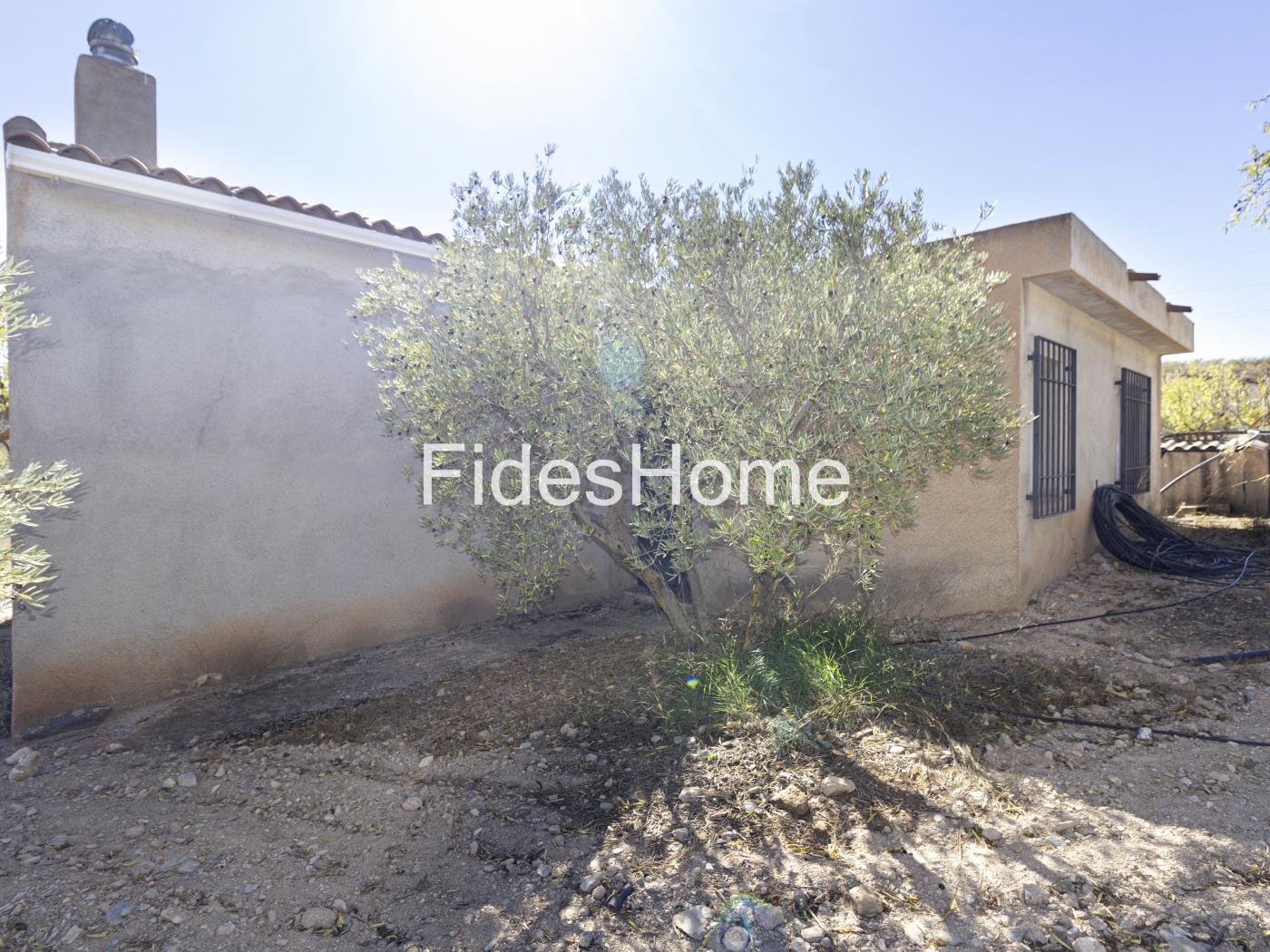 Magnificent olive farm in Nigüelas with a cortijo in Nigüelas