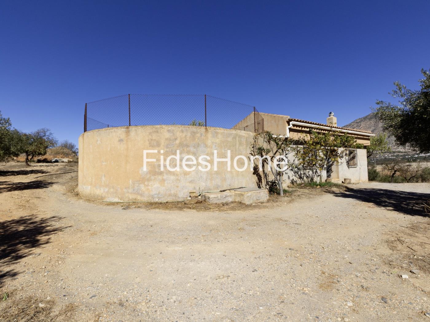 Magnificent olive farm in Nigüelas with a cortijo in Nigüelas