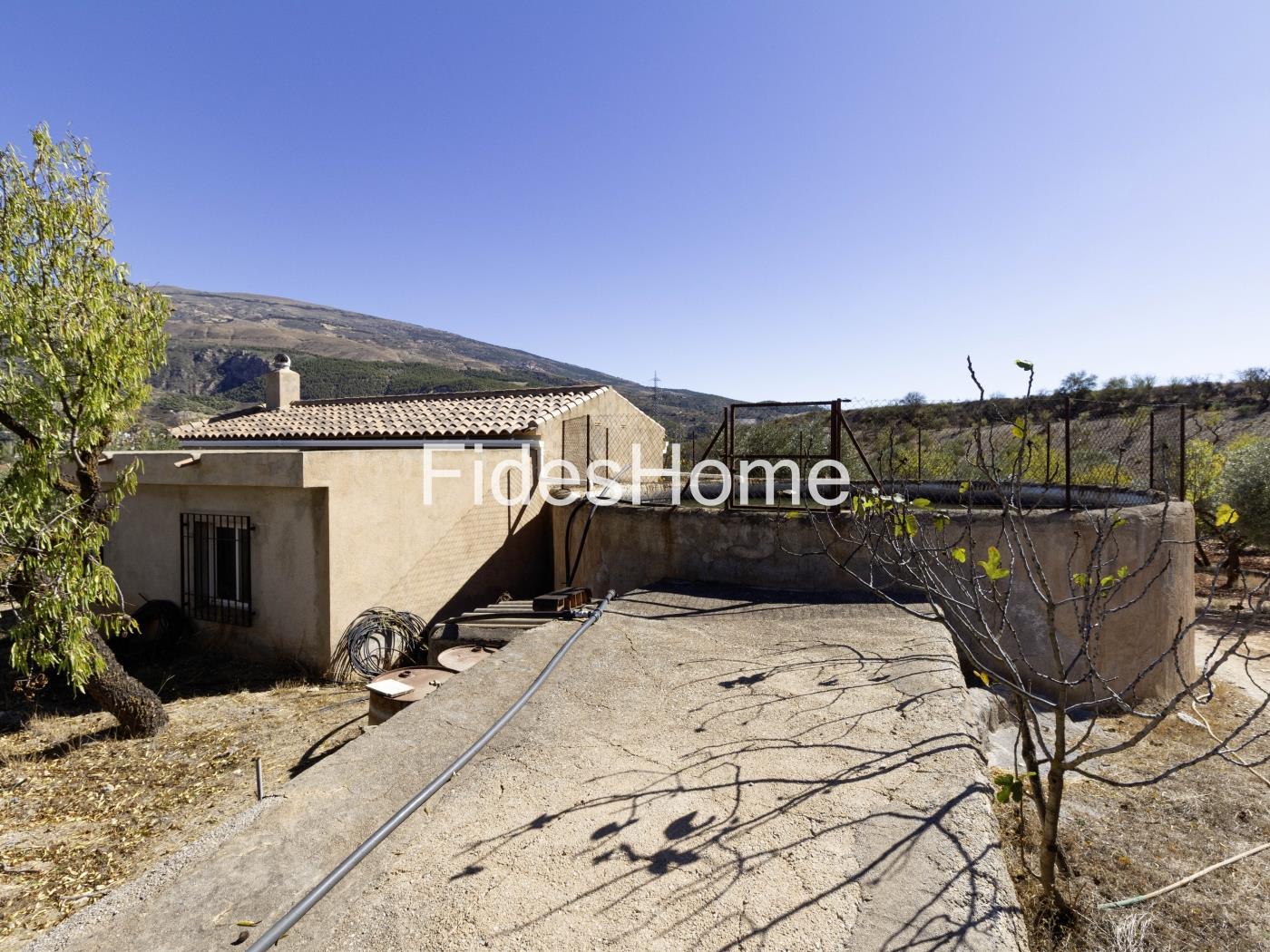 Magnificent olive farm in Nigüelas with a cortijo in Nigüelas