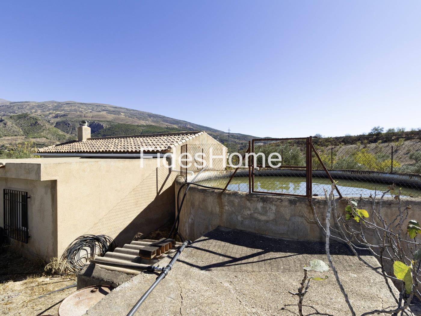 Magnificent olive farm in Nigüelas with a cortijo in Nigüelas