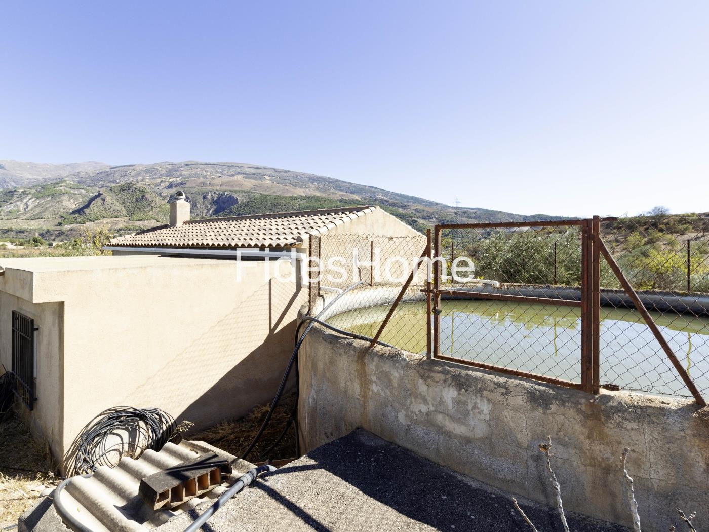 Magnificent olive farm in Nigüelas with a cortijo in Nigüelas