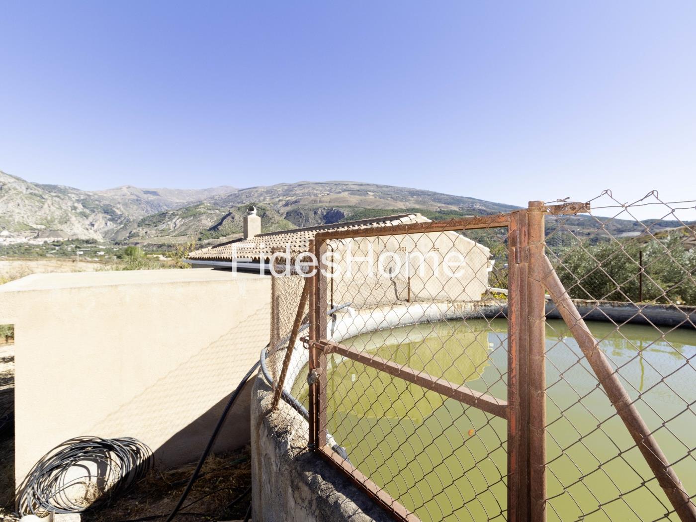 Magnificent olive farm in Nigüelas with a cortijo in Nigüelas