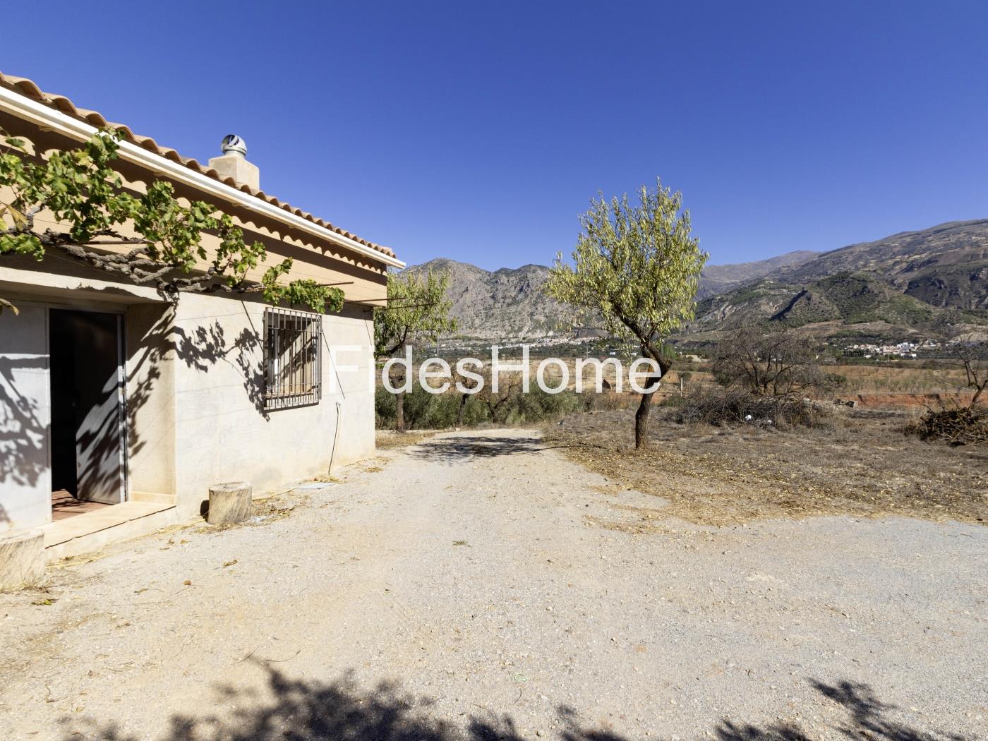 Magnificent olive farm in Nigüelas with a cortijo in Nigüelas