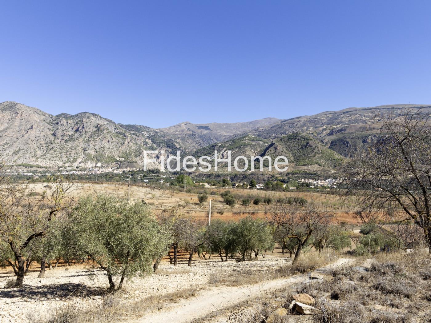 Magnificent olive farm in Nigüelas with a cortijo in Nigüelas