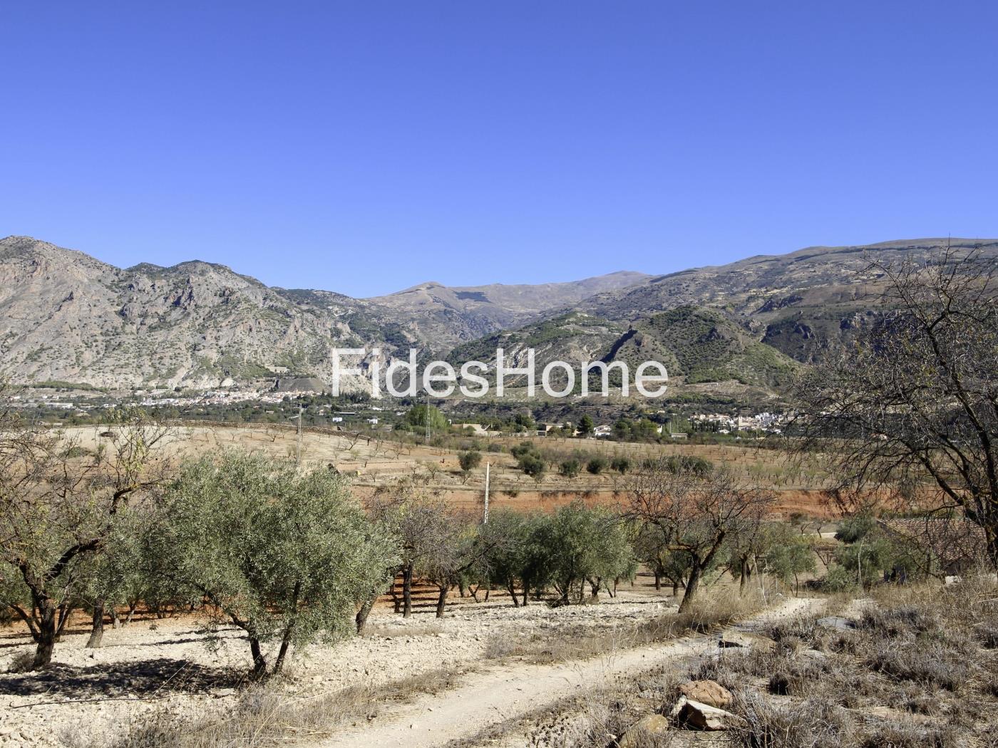 Magnificent olive farm in Nigüelas with a cortijo in Nigüelas