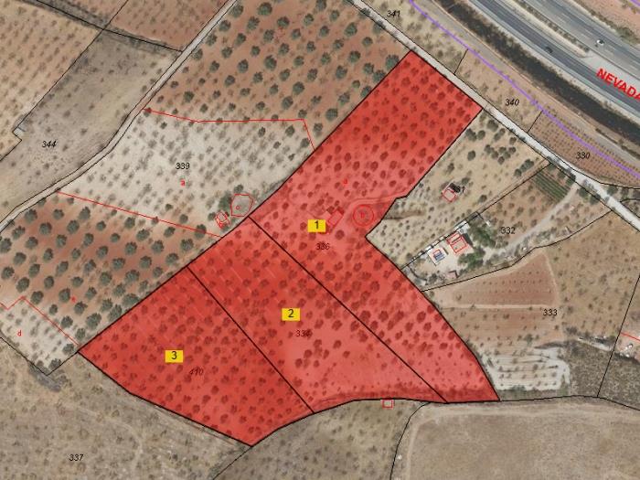Magnificent olive farm in Nigüelas with a cortijo in Nigüelas