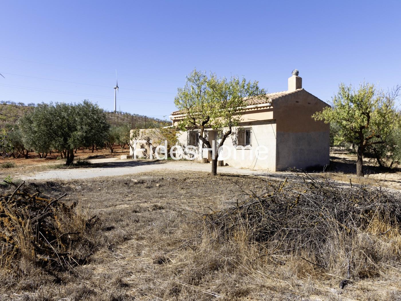 Magnificent olive farm in Nigüelas with a cortijo in Nigüelas