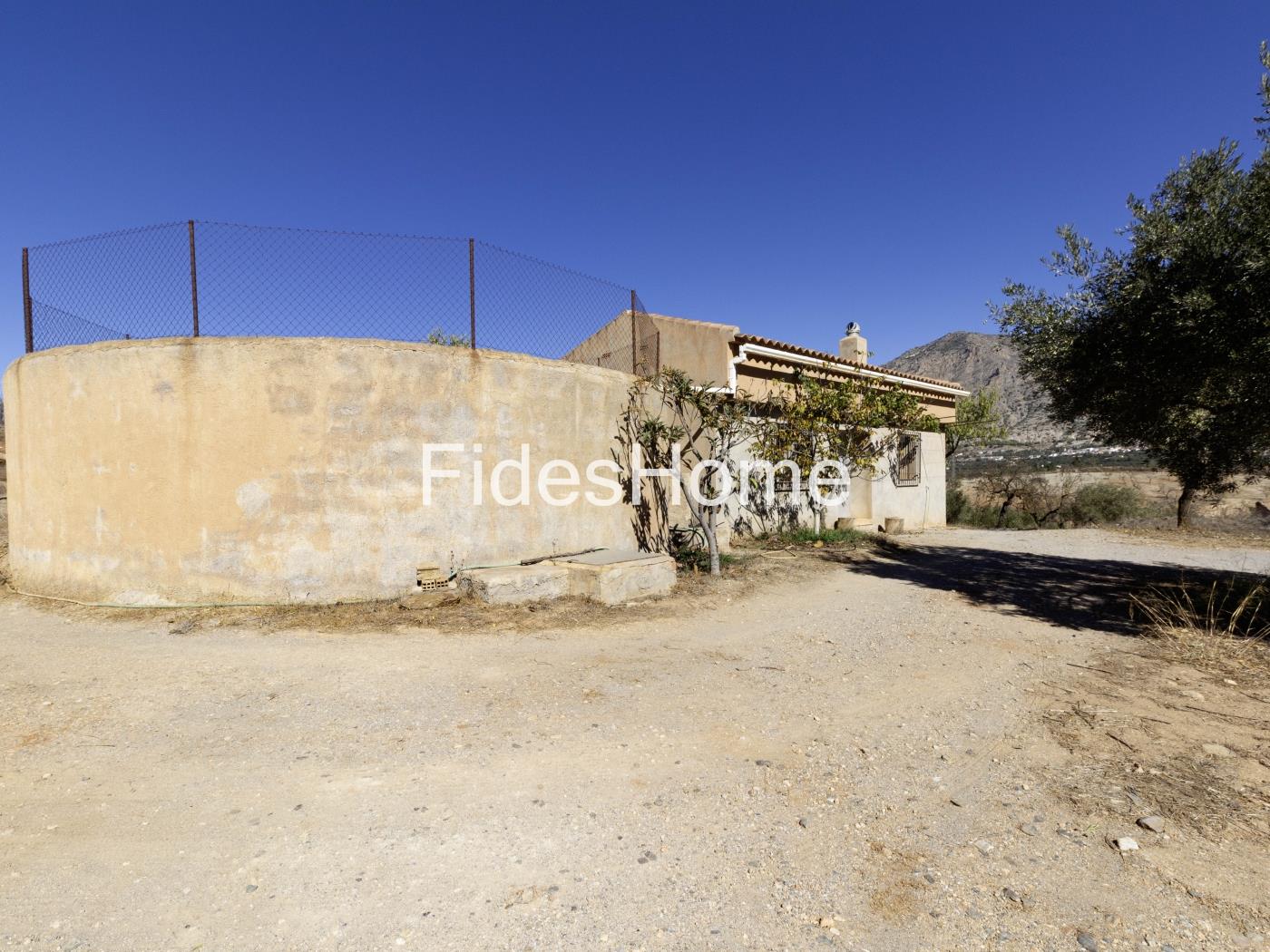 Magnificent olive farm in Nigüelas with a cortijo in Nigüelas