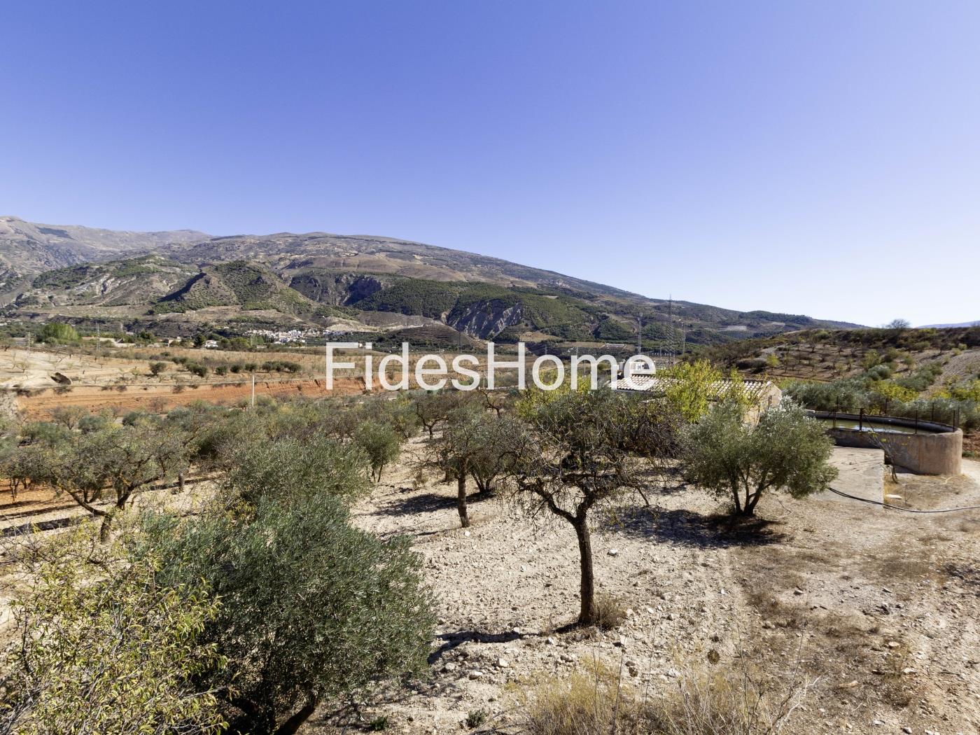 Magnificent olive farm in Nigüelas with a cortijo in Nigüelas