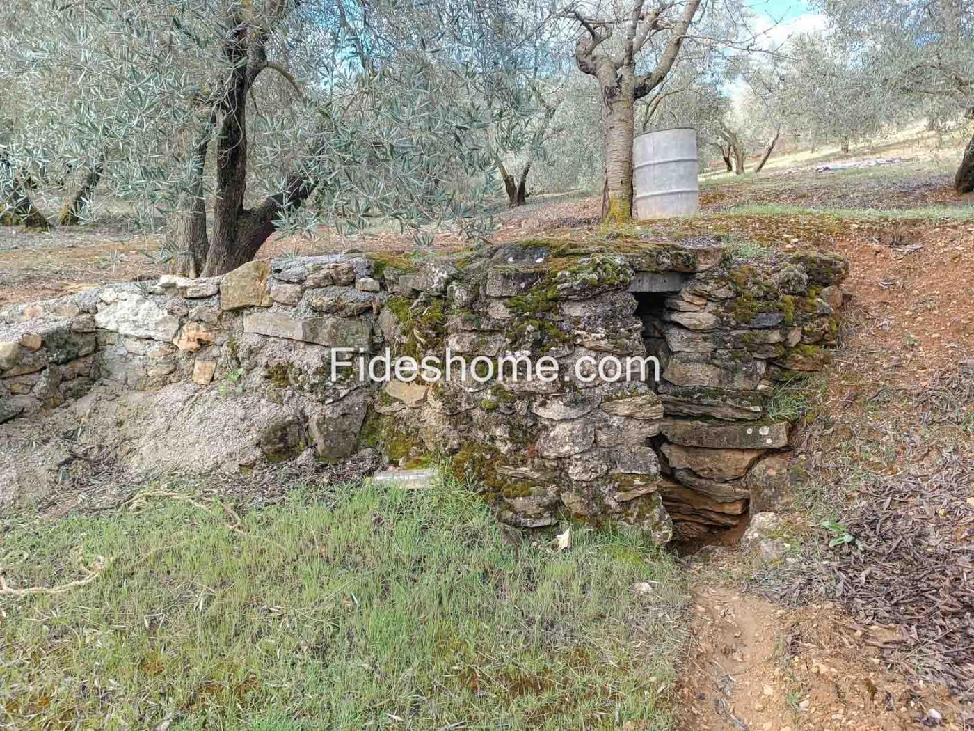 Magnifica finca de olivos y cortijo en Albuñuelas en Albuñuelas