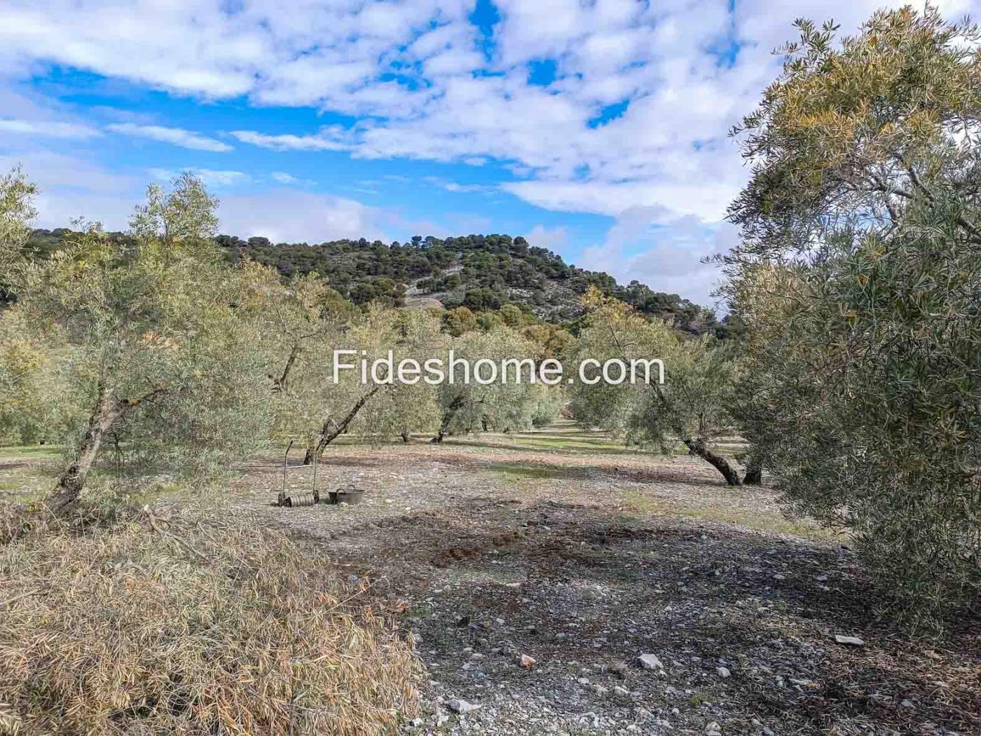 Magnifica finca de olivos y cortijo en Albuñuelas en Albuñuelas