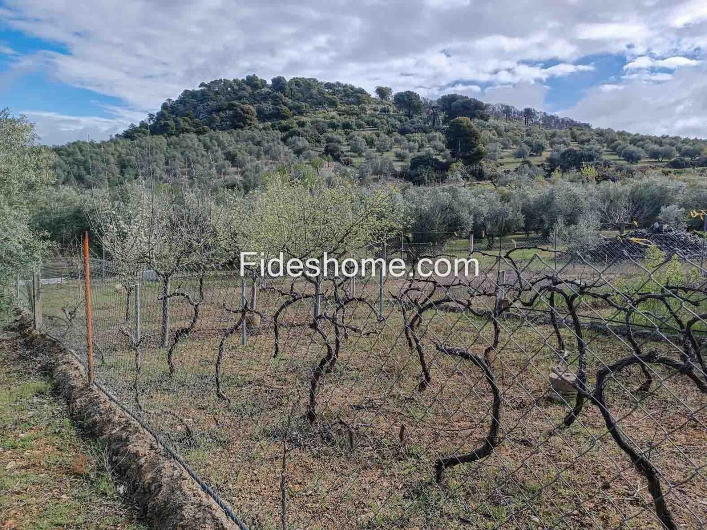 Magnifica finca de olivos y cortijo en Albuñuelas en Albuñuelas