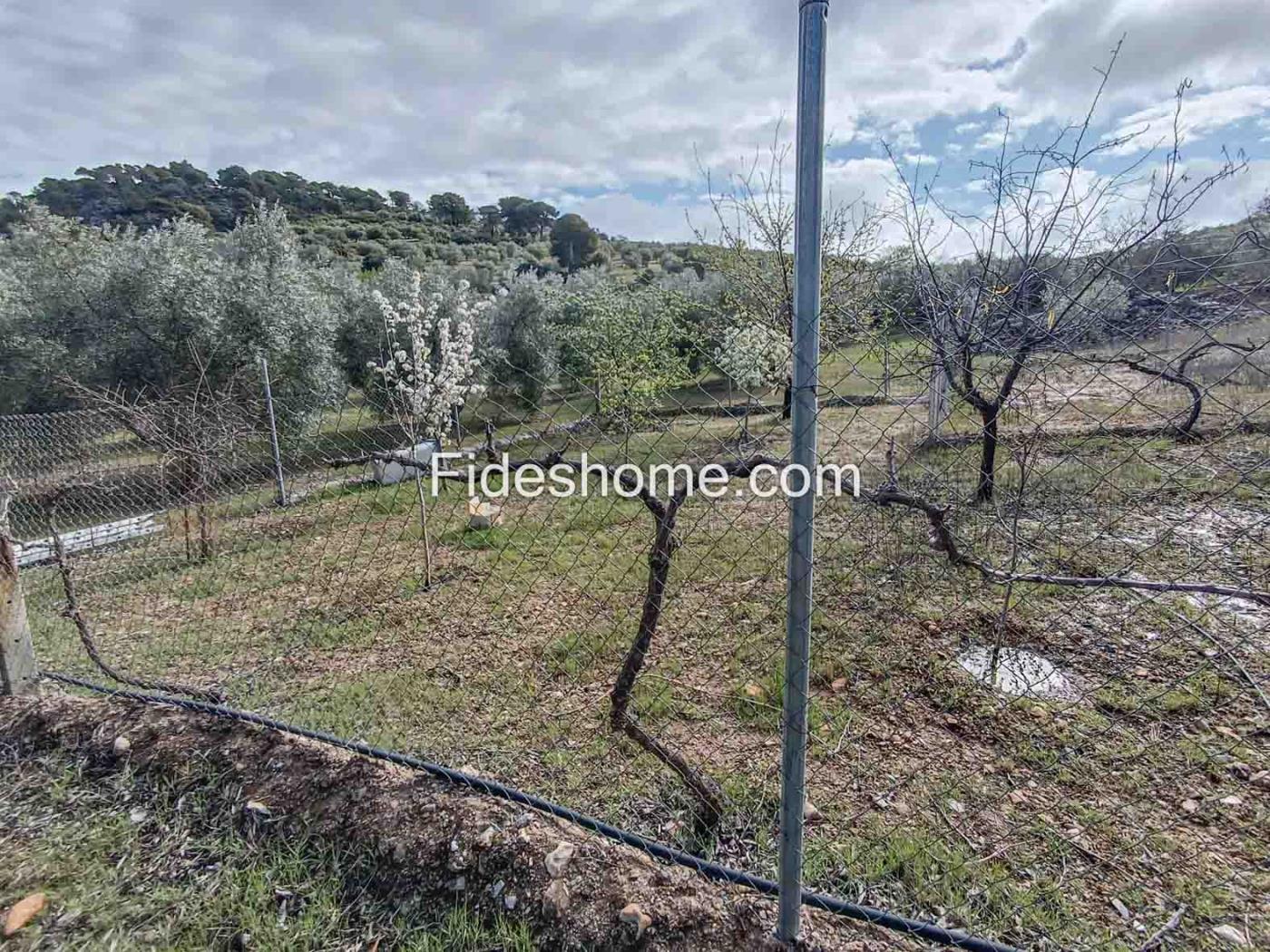 Magnifica finca de olivos y cortijo en Albuñuelas en Albuñuelas