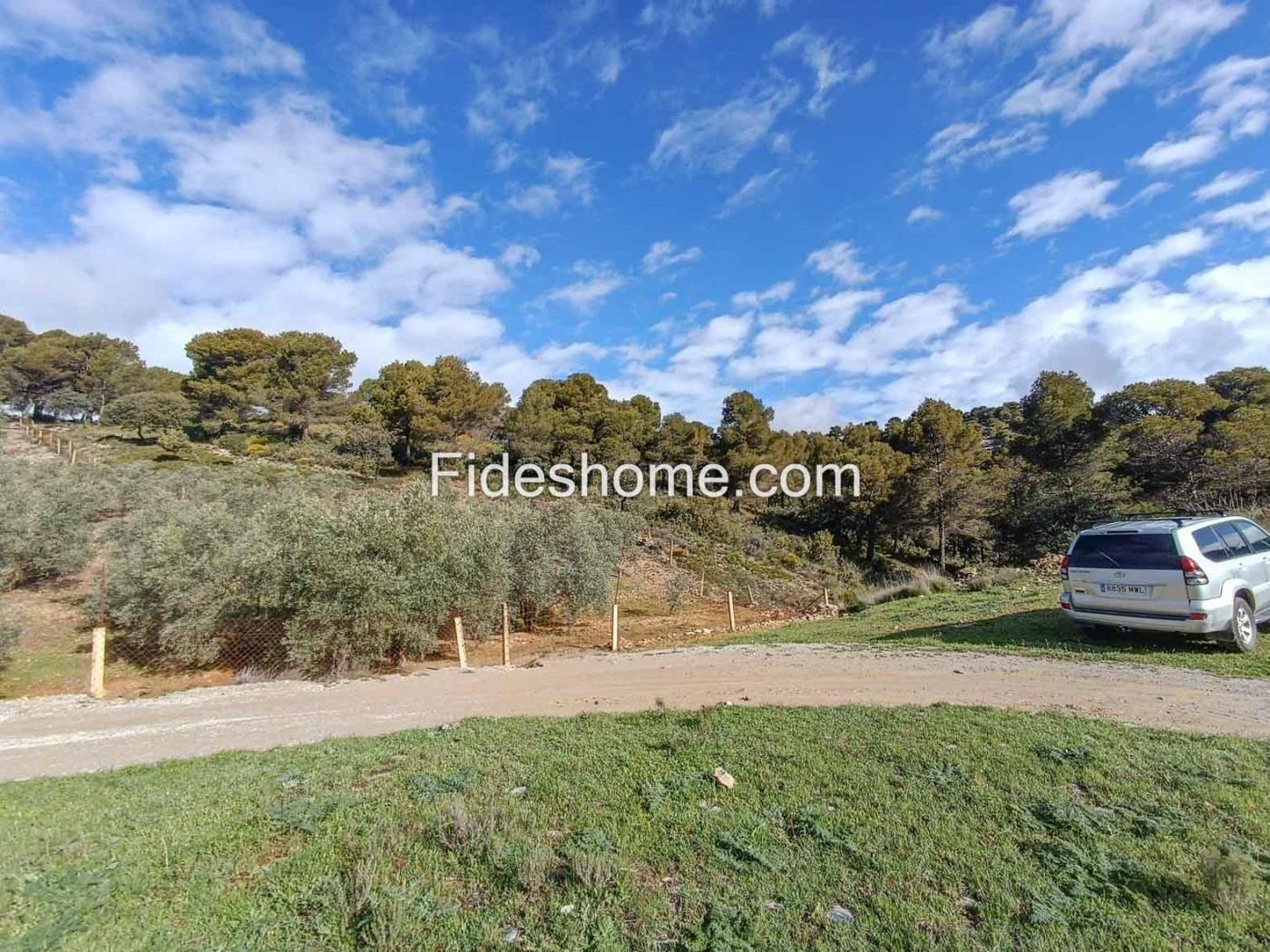 Magnifica finca de olivos y cortijo en Albuñuelas en Albuñuelas