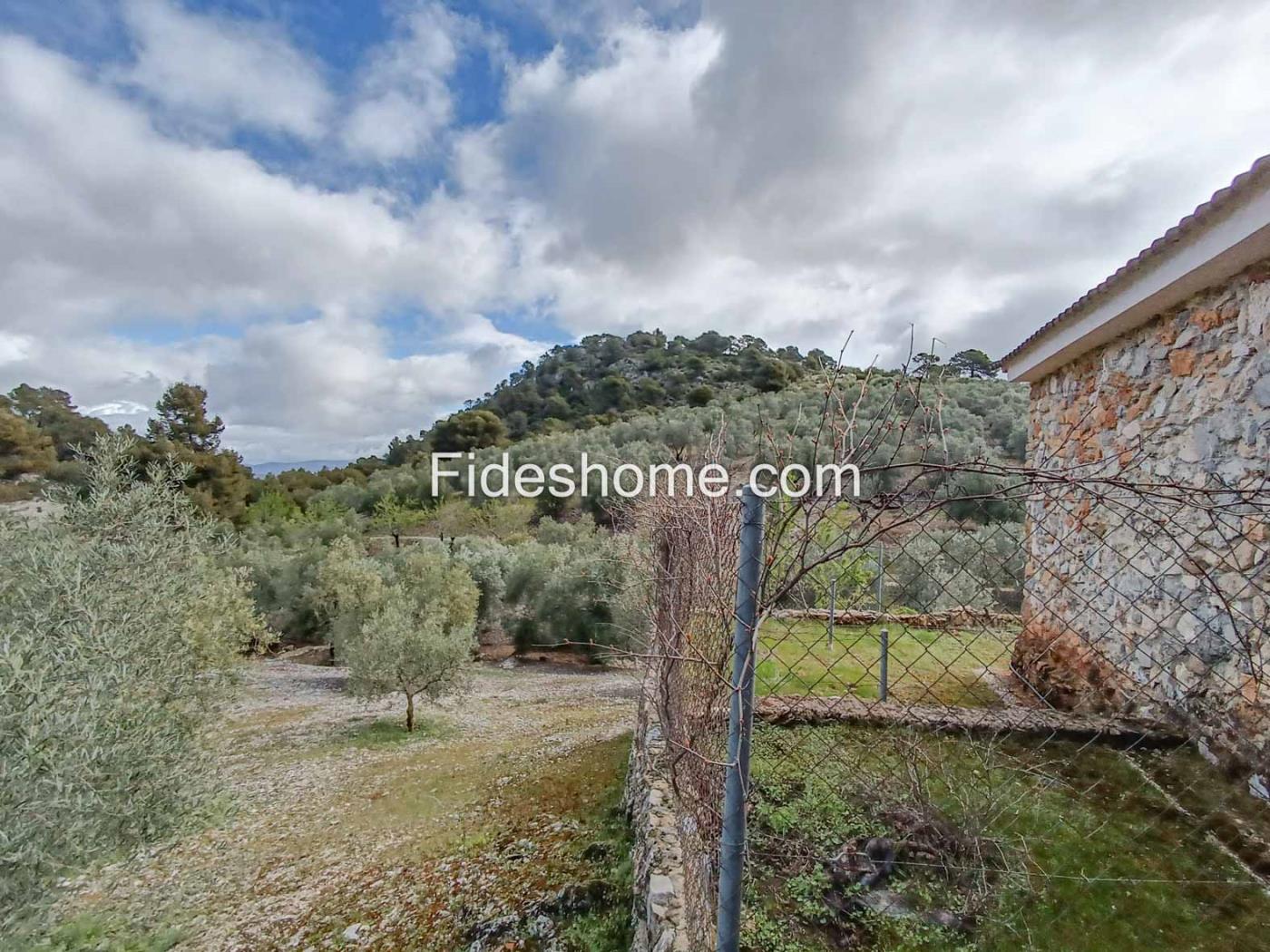 Magnifica finca de olivos y cortijo en Albuñuelas en Albuñuelas