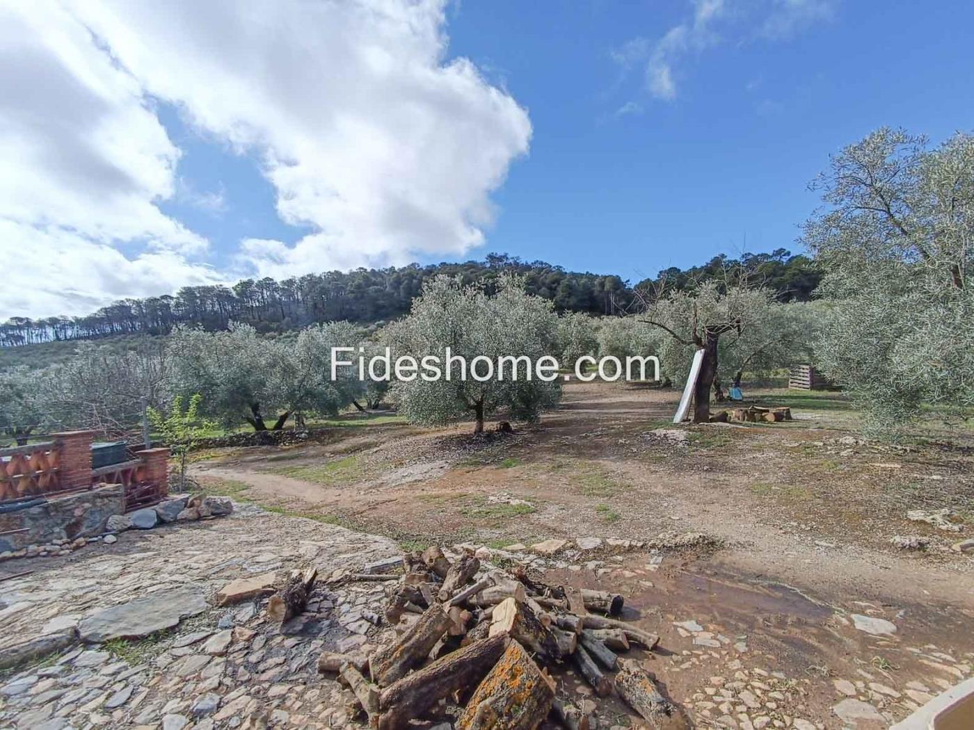 Magnifica finca de olivos y cortijo en Albuñuelas en Albuñuelas