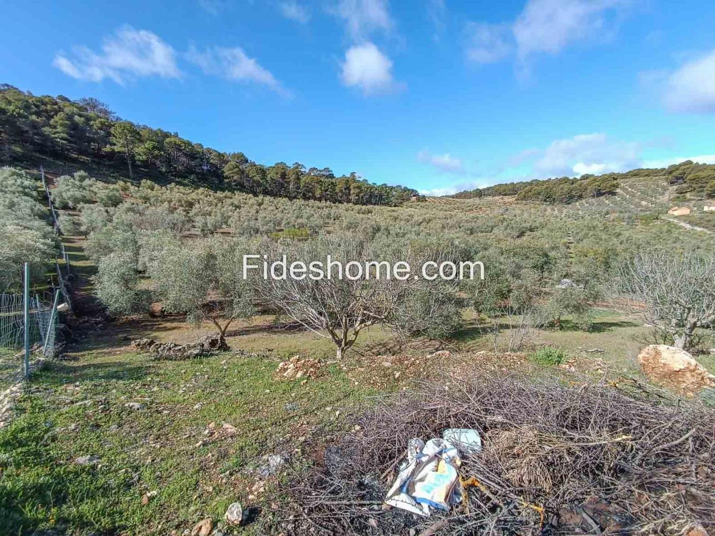 Magnifica finca de olivos y cortijo en Albuñuelas en Albuñuelas
