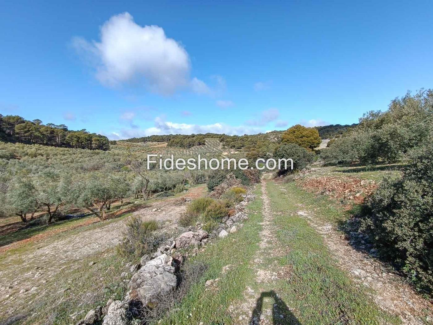 Magnifica finca de olivos y cortijo en Albuñuelas en Albuñuelas