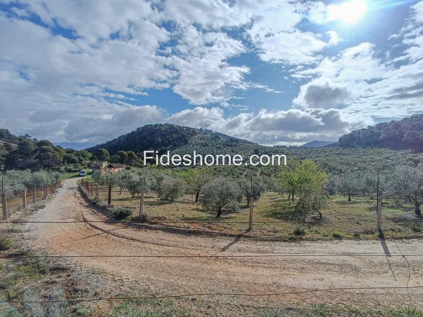 Magnifica finca de olivos y cortijo en Albuñuelas en Albuñuelas