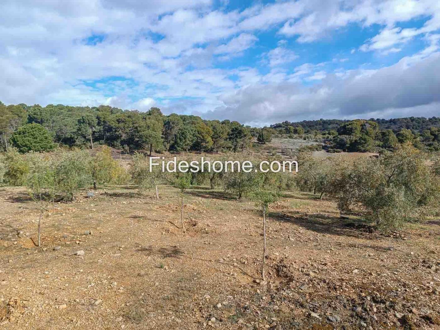 Magnifica finca de olivos y cortijo en Albuñuelas en Albuñuelas