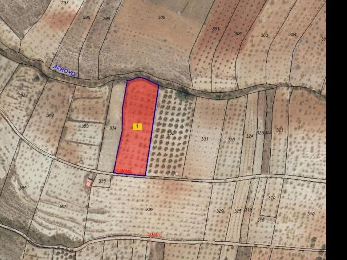 Finca rústica de secano en Dúrcal – Ideal para ampliar tu terreno en Dúrcal