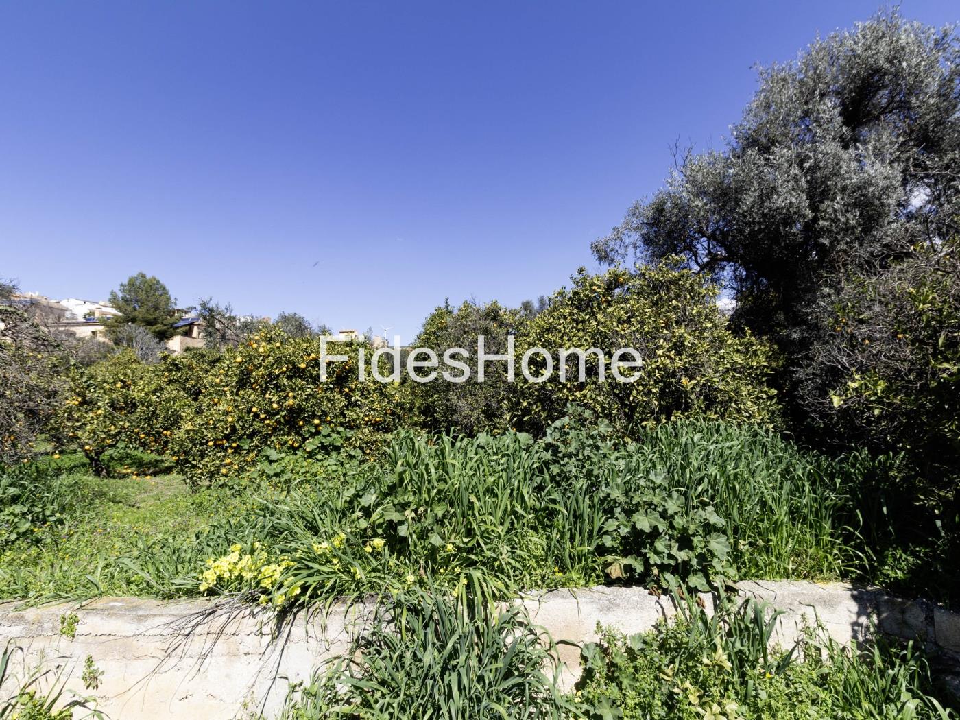 Large rustic plot with water – natural surroundings in Chite in Chite