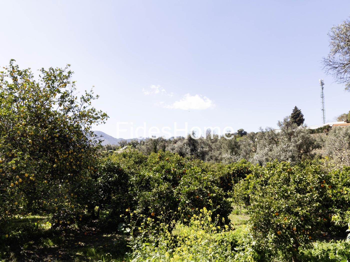 Large rustic plot with water – natural surroundings in Chite in Chite