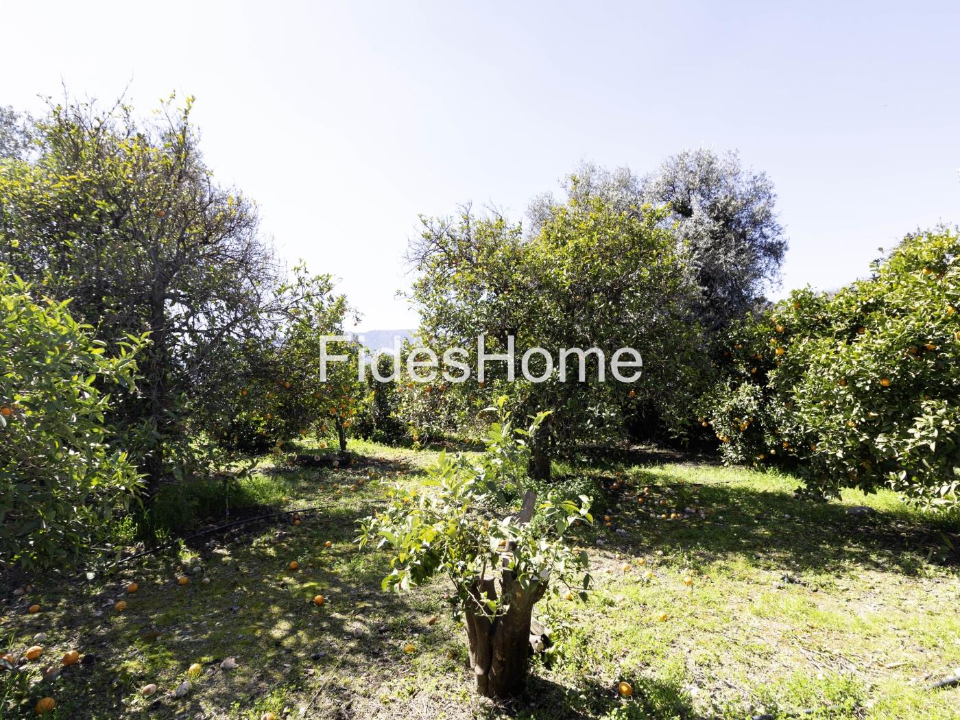 Large rustic plot with water – natural surroundings in Chite in Chite