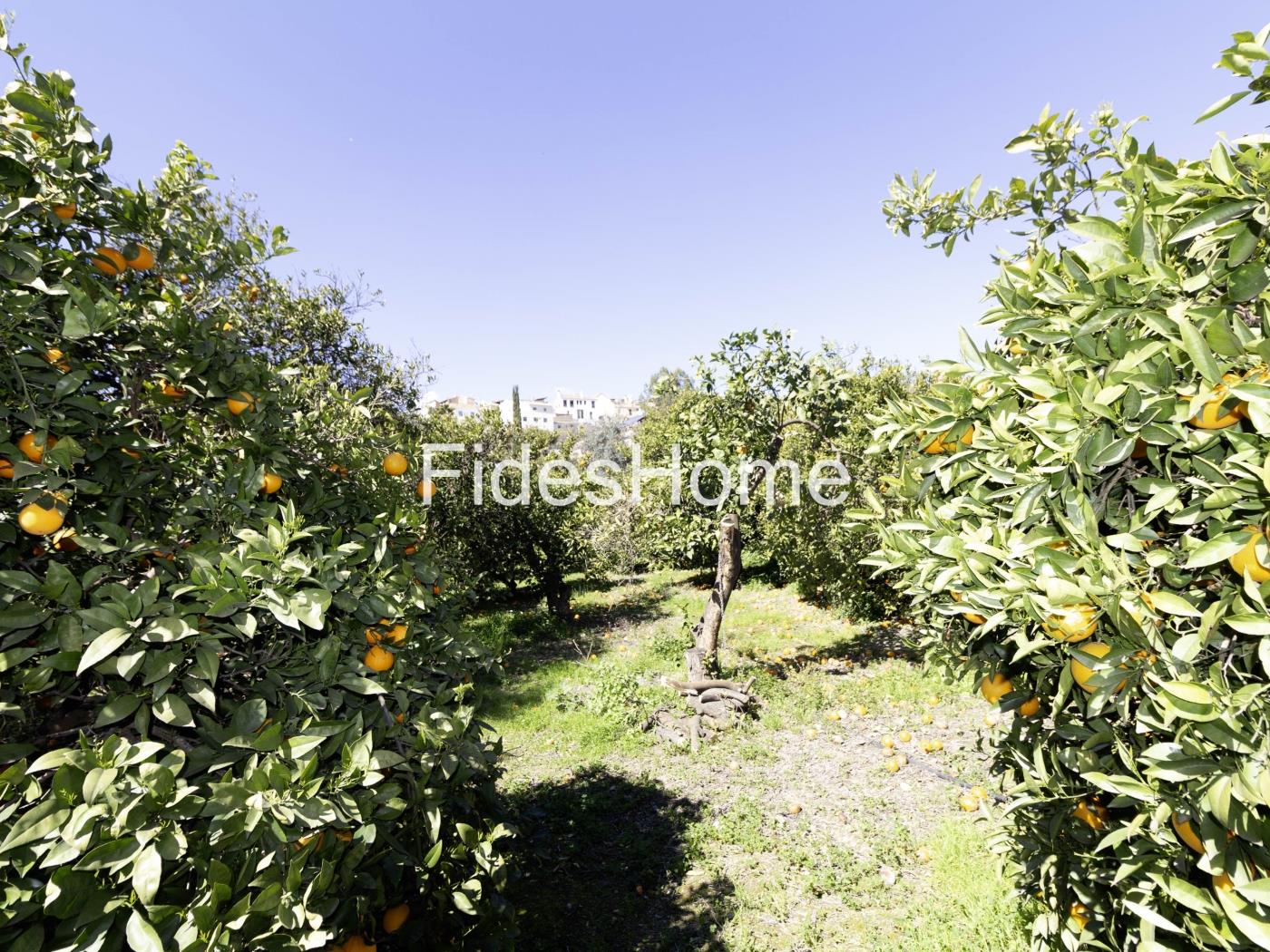 Large rustic plot with water – natural surroundings in Chite in Chite