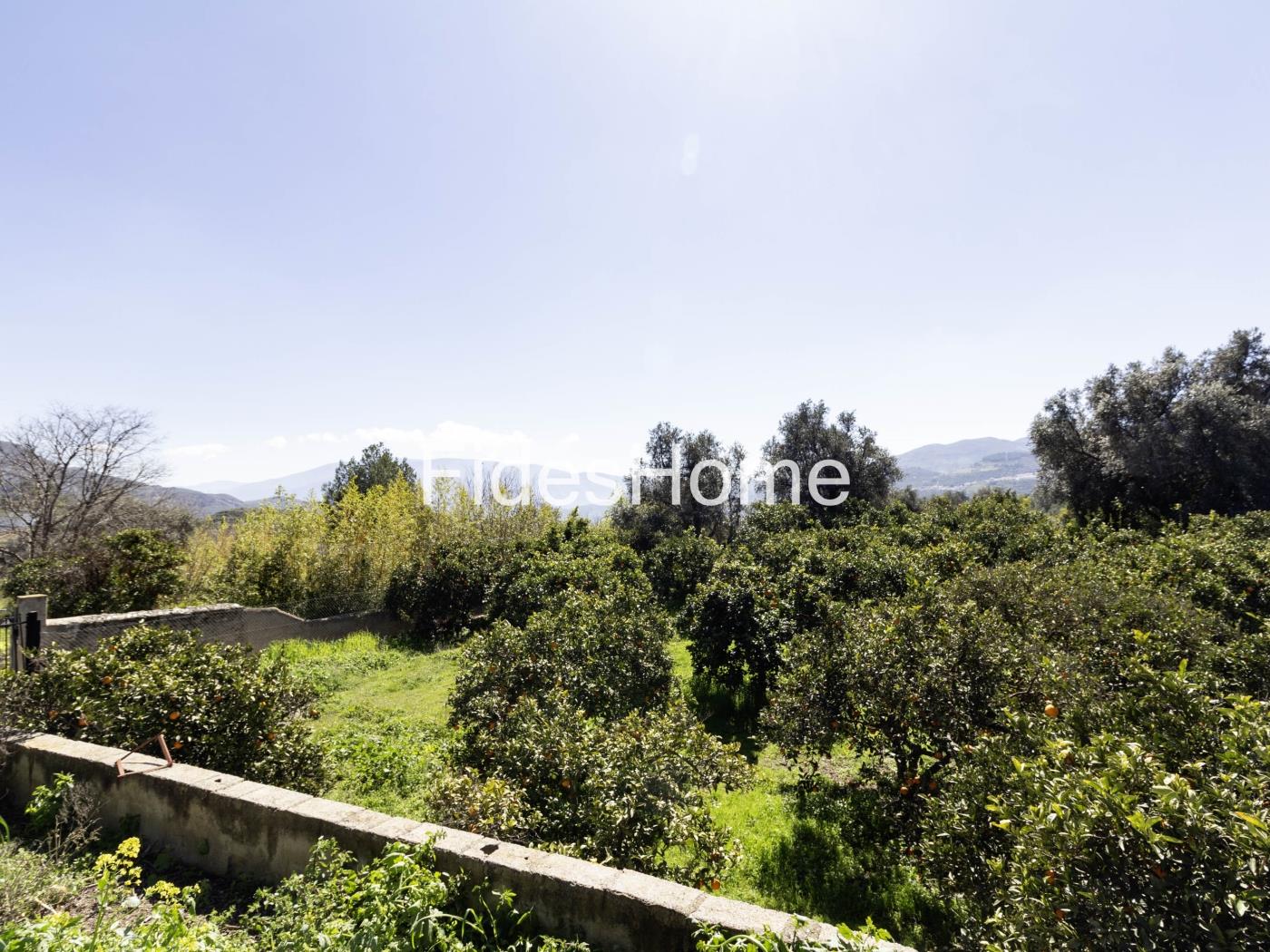 Large rustic plot with water – natural surroundings in Chite in Chite