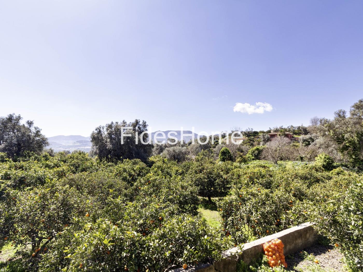 Large rustic plot with water – natural surroundings in Chite in Chite