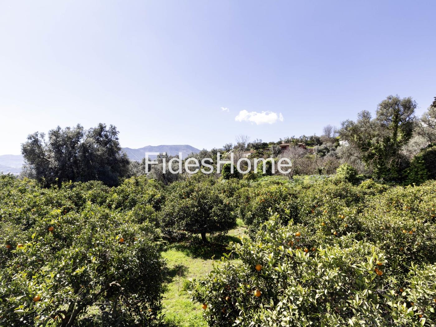 Large rustic plot with water – natural surroundings in Chite in Chite