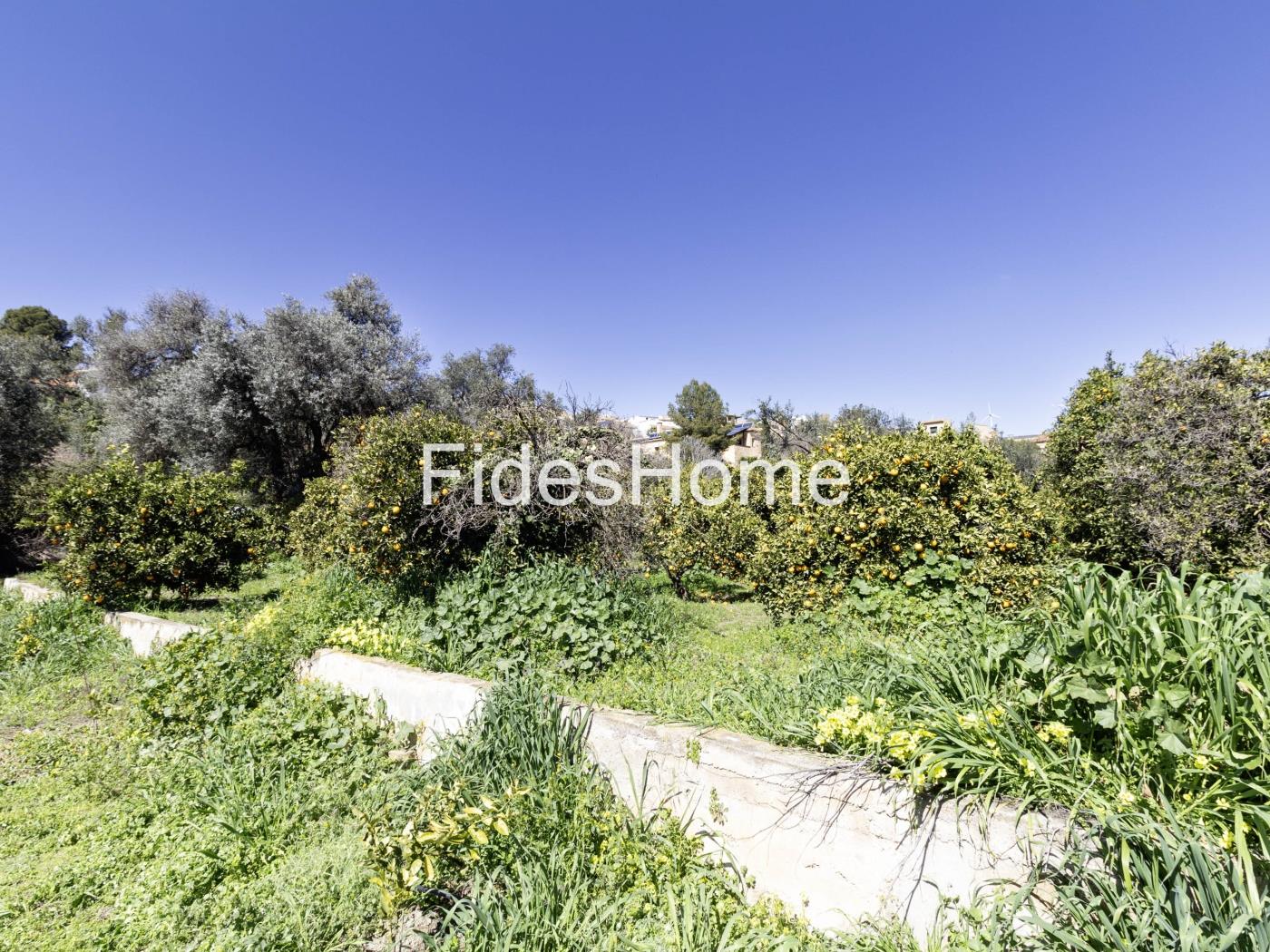 Large rustic plot with water – natural surroundings in Chite in Chite