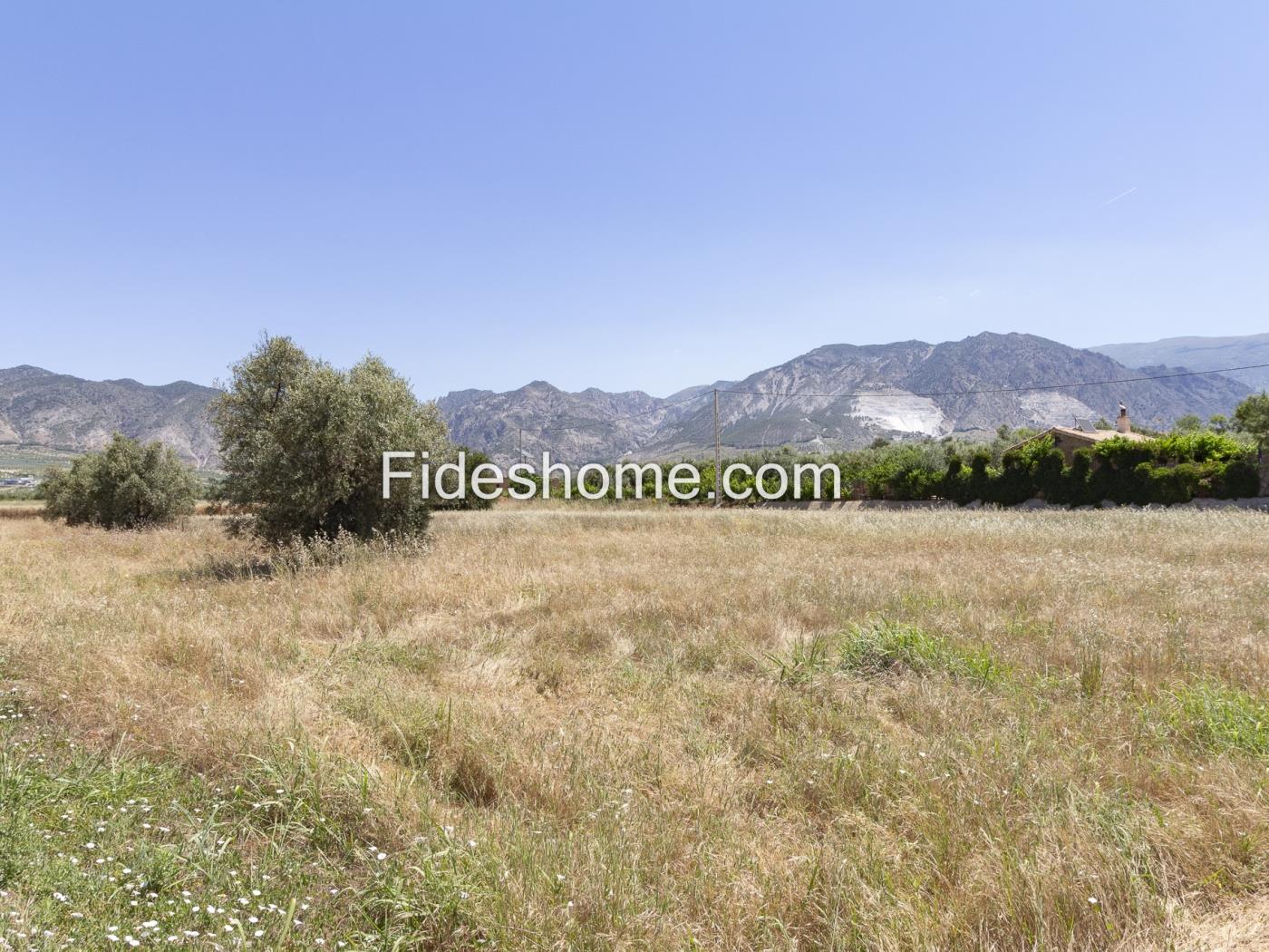 Landhaus in Cozvíjar in hervorragender Lage mit großem Potenzial in Cozvíjar