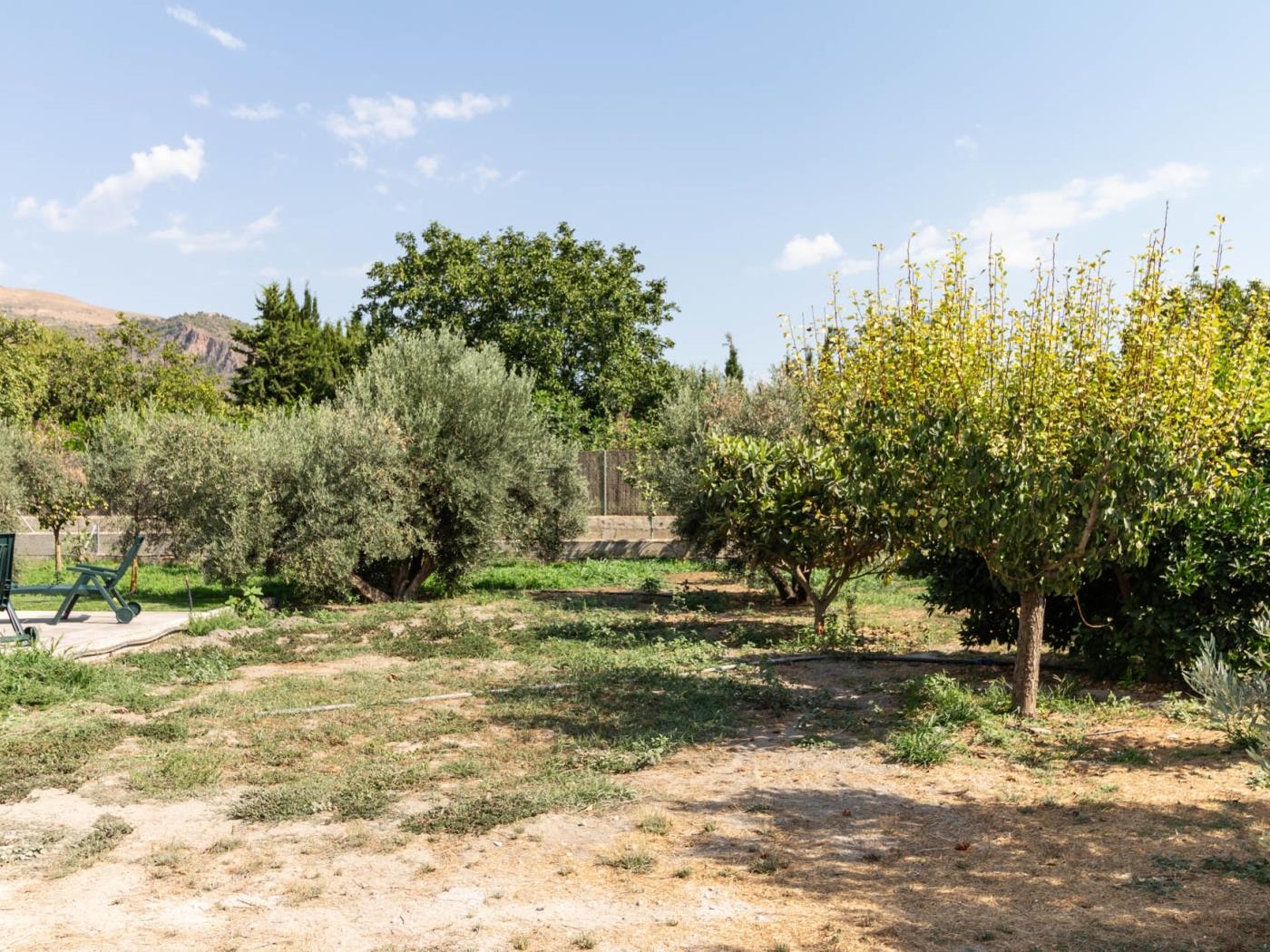 Landhaus mit Pool und Grill in Dúrcal