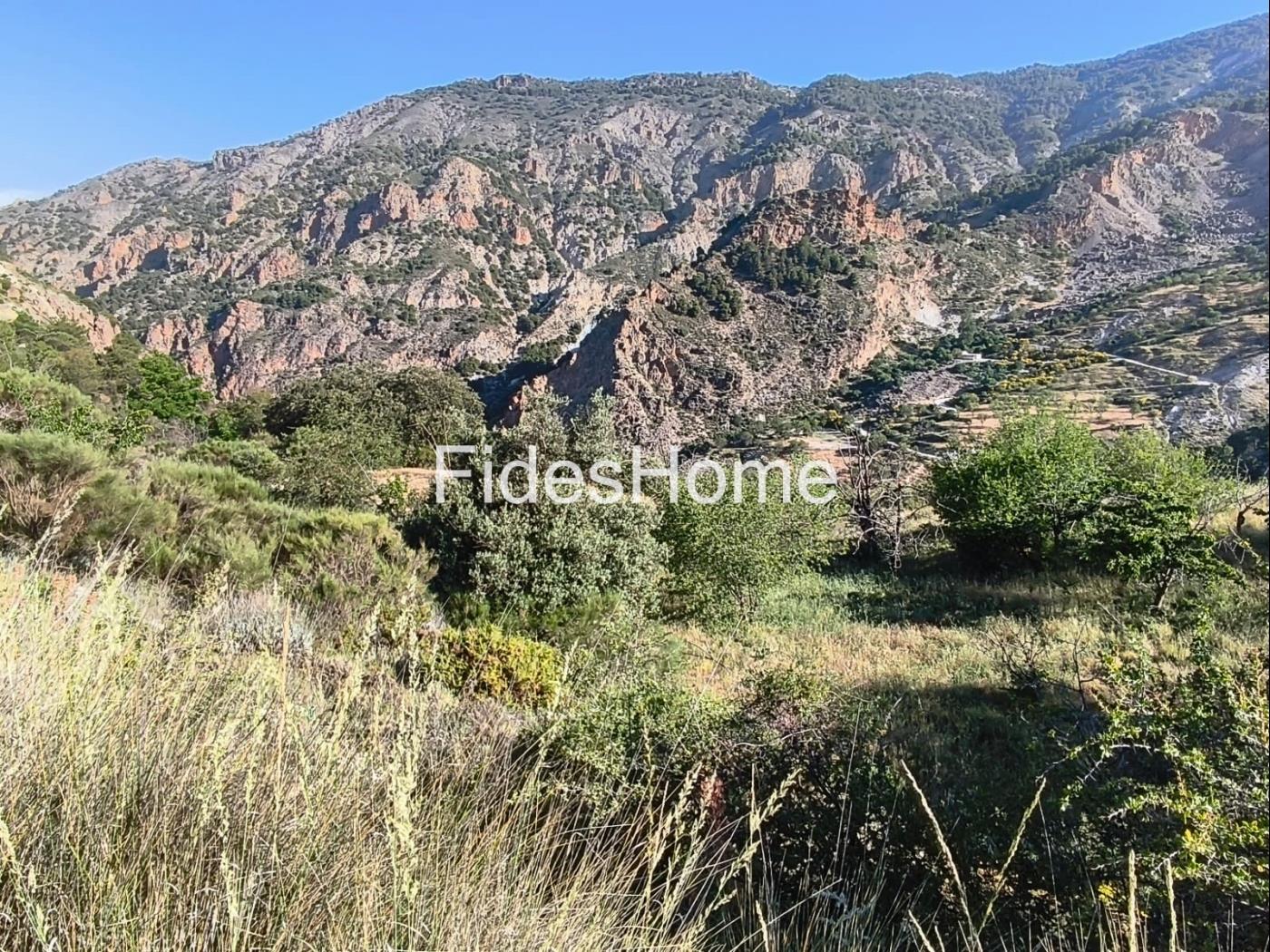 Finca in Nigüelas in Nigüelas