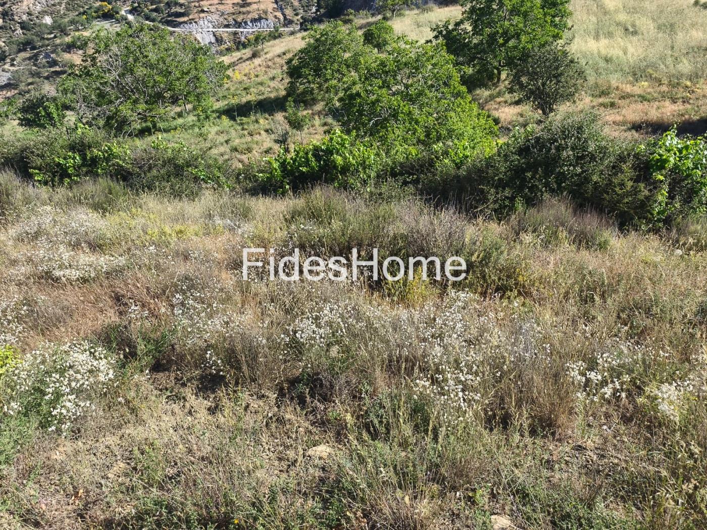 Finca in Nigüelas in Nigüelas