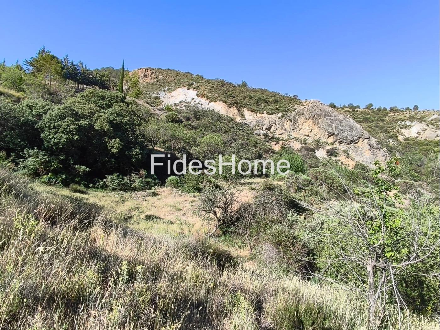Finca in Nigüelas in Nigüelas