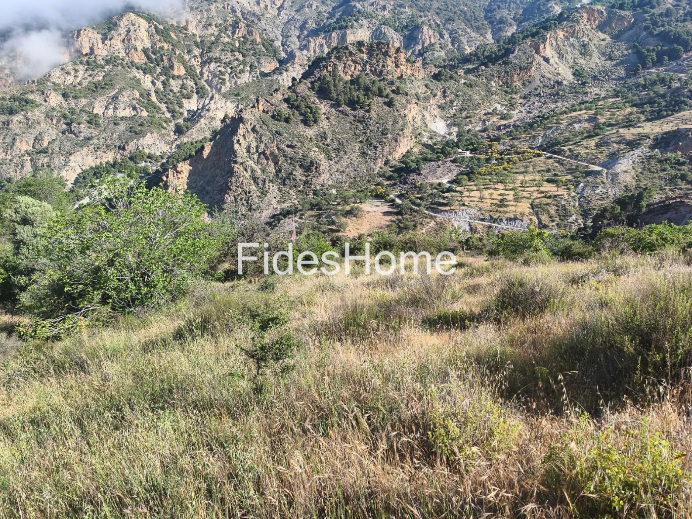 Finca in Nigüelas in Nigüelas