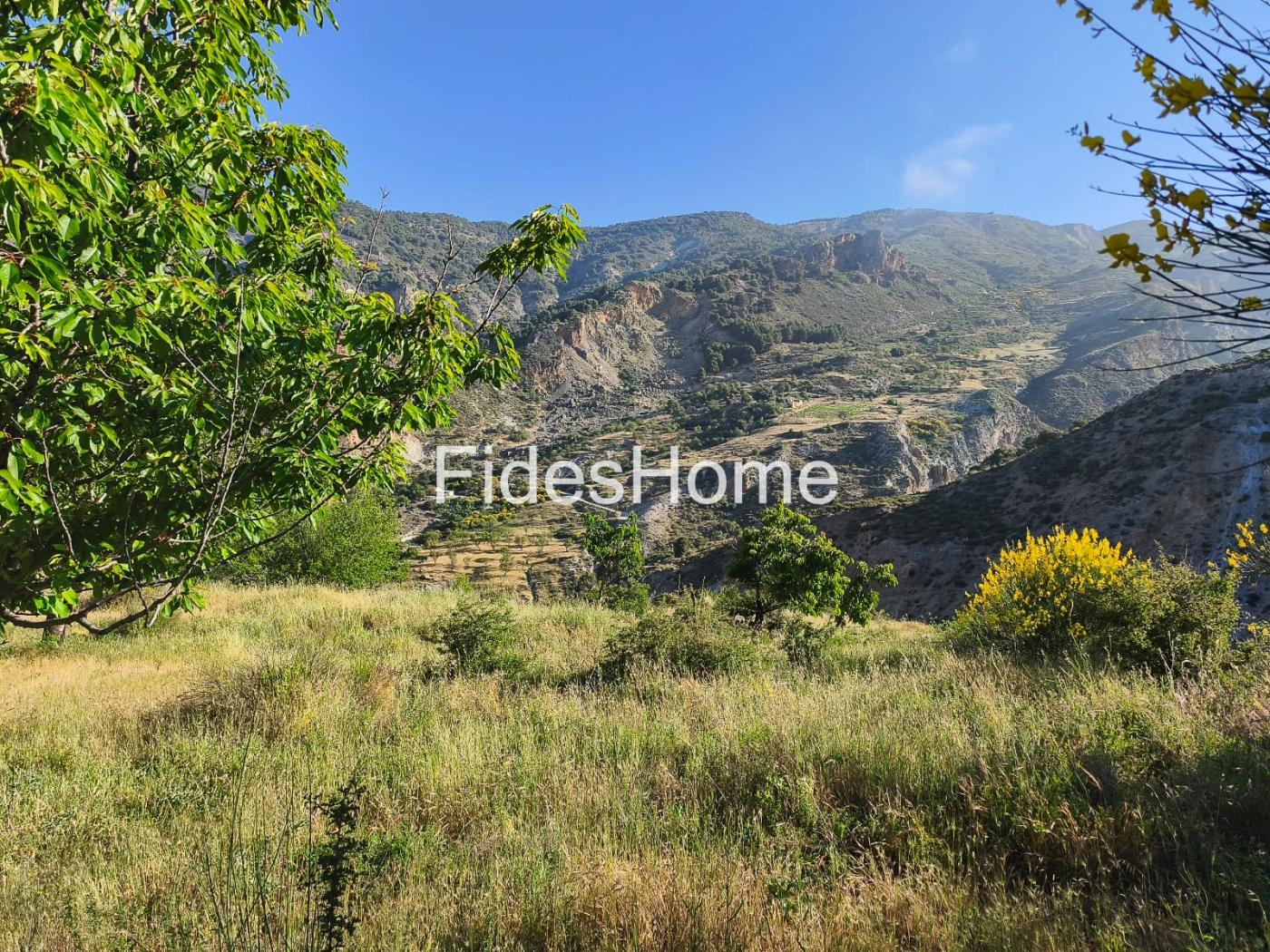 Finca in Nigüelas in Nigüelas