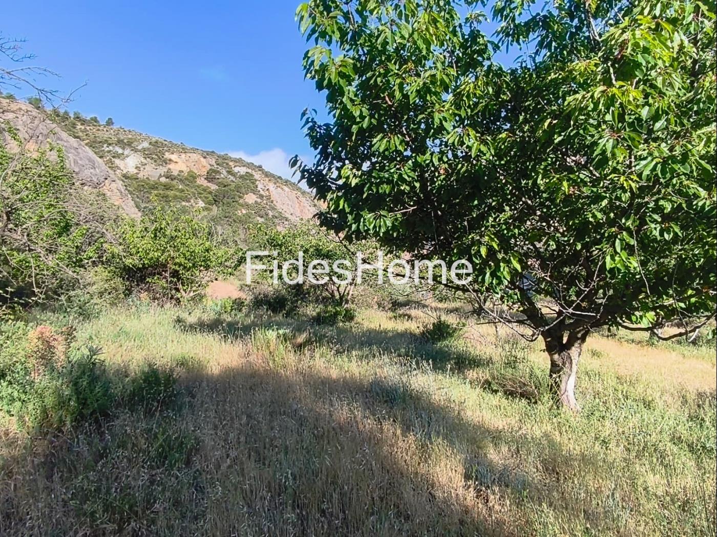 Finca in Nigüelas in Nigüelas