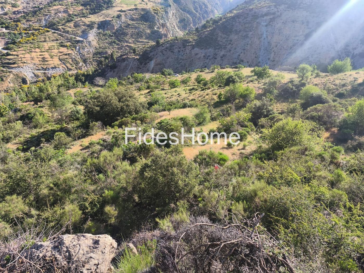 Finca in Nigüelas in Nigüelas